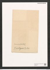 Navicula sp. (de-Toni-Nr.: Genus 1) Zeichnungen Sammlung Grunow (NHMW-BOT-W0368074)